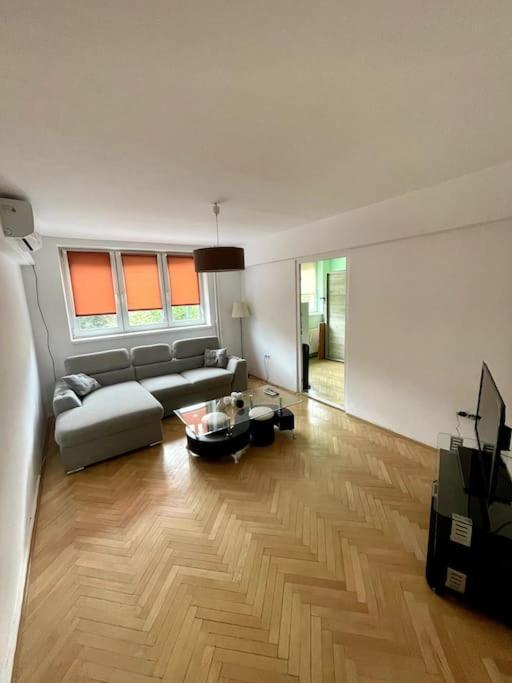  cozy Apartament Cluj-Napoca