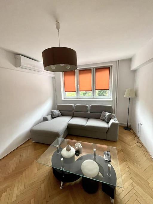  cozy Apartament